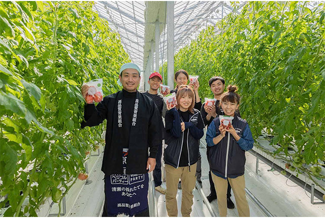 COCO TOMATO JUICE（ココ トマトジュース） – 清瀬市観光協会 きよせ市場